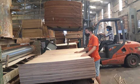 Hoa Kỳ gia hạn ban hành kết luận cuối cùng đối với sản phẩm gỗ dán cứng từ Việt Nam