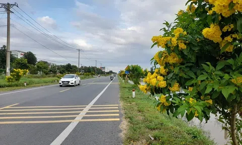 Hậu Giang: Gần 4.000 tỷ đồng nâng cấp, mở rộng tuyến đường nối Cần Thơ - Hậu Giang
