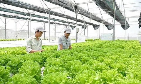 Nhân rộng mô hình sản xuất nông nghiệp tuần hoàn