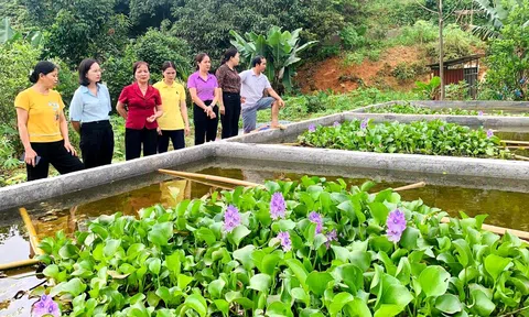 Phụ nữ Vị Xuyên giúp nhau làm kinh tế giỏi