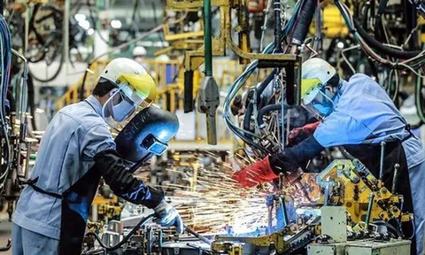 Kinh tế Việt Nam tiếp tục phục hồi bất chấp lạm phát toàn cầu tăng cao