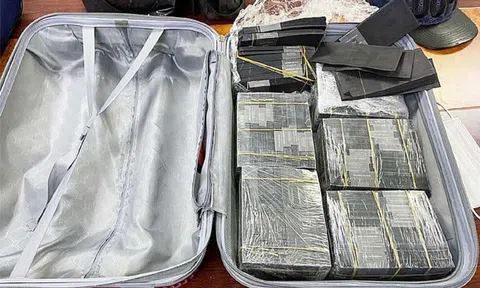 TP. Hồ Chí Minh: Phát hiện 1 triệu USD bị nhuộm đen nghi vận chuyển ra nước ngoài