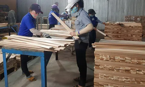 Minh bạch chuỗi cung sản phẩm gỗ: Lắng nghe từ người sản xuất