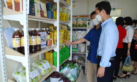 Ba Vì nỗ lực tìm chỗ đứng cho các sản phẩm nông sản sạch
