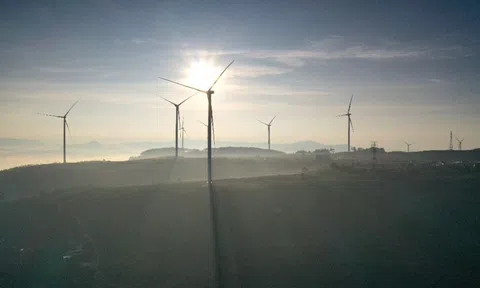 Lâm Đồng: Phê duyệt 2 dự án điện gió với tổng vốn đầu tư gần 4.400 tỷ đồng tại TP. Đà Lạt