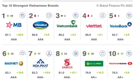 Hòa Phát nằm trong Top 50 thương hiệu giá trị nhất Việt Nam