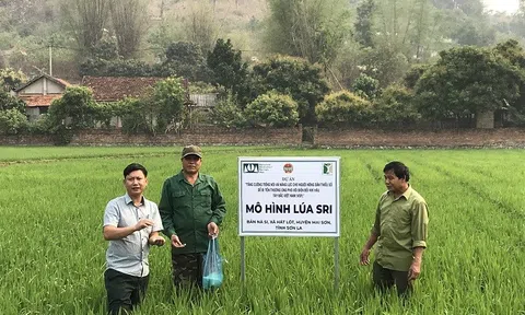 Người dân vùng cao làm nông nghiệp ứng phó với biến đổi khí hậu