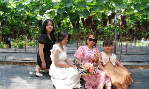 Mô hình nông nghiệp sinh thái gắn với du lịch trải nghiệm