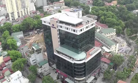 Vinafor (VIF) bị xử phạt và truy thu thuế hơn 1,3 tỷ đồng