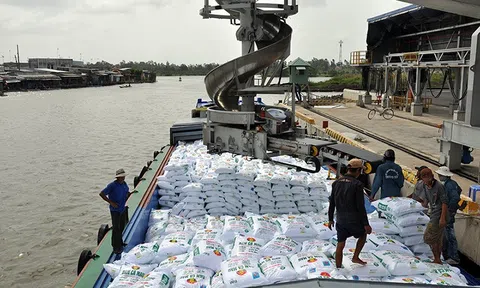 Xuất khẩu phân bón Việt Nam ghi nhận những con số tích cực