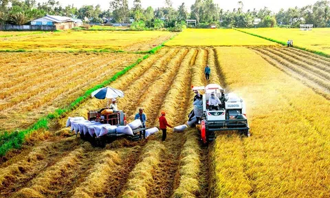 Chuyển đổi sản xuất nông nghiệp theo hướng nông nghiệp xanh giúp Việt Nam đạt mục tiêu giảm phát thải