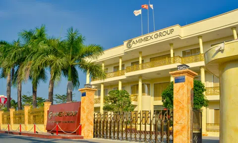 Vi phạm trong lĩnh vực chứng khoán, Camimex Group (CMX) bị phạt 310 triệu đồng