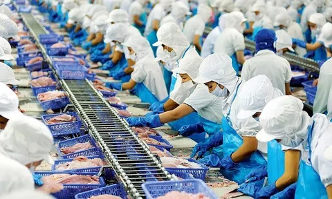 Tính hết quý III/2022, xuất khẩu thủy sản chạm mốc 8,5 tỷ USD