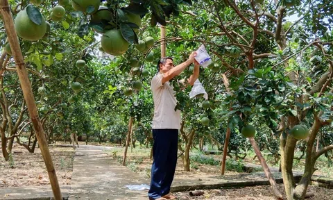 Thay đổi tư duy trong phát triển sản xuất ở các hợp tác xã nông nghiệp