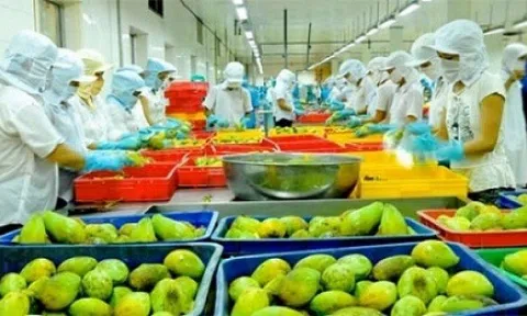 Tổng kết quý 3 xuất khẩu nông lâm thủy sản thu về 40,79 tỷ USD