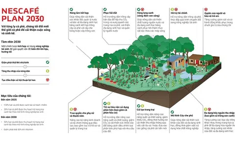 NESCAFÉ Plan 2030: Thúc đẩy nông nghiệp tái sinh, giảm phát thải khí nhà kính và hỗ trợ nông dân cải thiện sinh kế