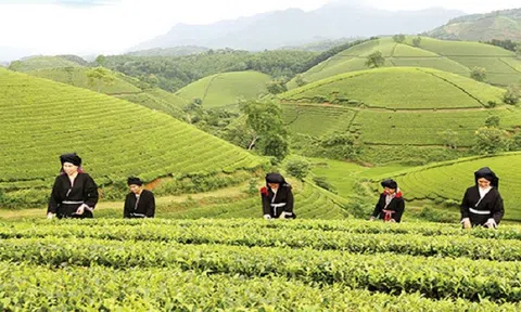 Kế hoạch hành động phát triển kinh tế - xã hội vùng Trung du, miền núi Bắc Bộ