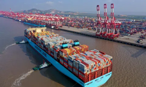 Maersk Line - hãng tàu container lớn nhất thế giới chính thức mở tuyến cố định tới Cảng CICT Cái Lân