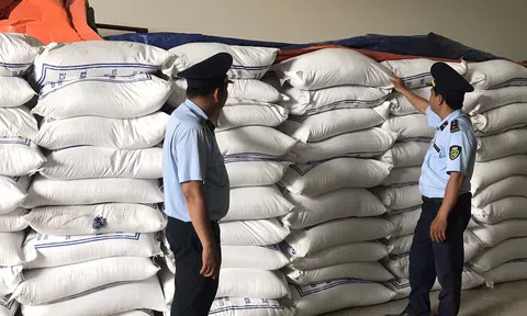 Bến Tre: Tạm giữ gần 30 tấn gạo Ấn Độ có dấu hiệu nhập lậu