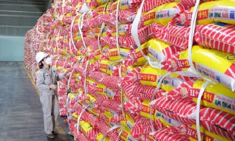 PVFCCo: Lợi nhuận 9 tháng tăng gấp 3 lần cùng kỳ