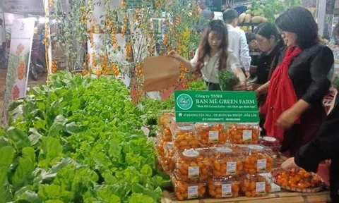 Kết nối các doanh nghiệp khu vực Tây Nguyên vào hệ thống phân phối nước ngoài