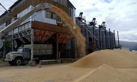 Liên hợp quốc nỗ lực thúc đẩy gia hạn xuất khẩu ngũ cốc qua biển Đen