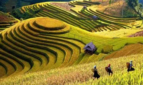 Bộ KH&ĐT lên kế hoạch hành động phát triển KTXH vùng Trung du, miền núi Bắc Bộ