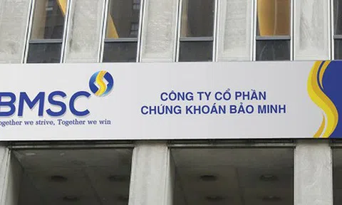 Công ty Cổ phần Chứng khoán Bảo Minh bị phạt và truy thu 310 triệu đồng do khai sai thuế