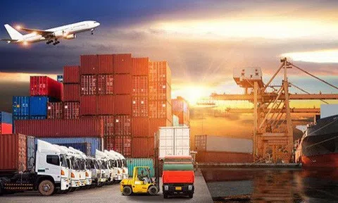 Từ 15/10, thương nhân có thể tải và tự in 14 mẫu C/O
