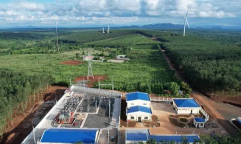 Công ty Cổ phần điện Gia Lai (GEG) bị phạt 215 triệu do vi phạm về thuế