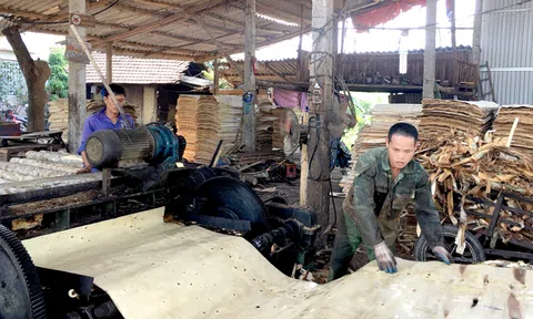 Yên Bái: Nâng cao giá trị sản xuất lâm nghiệp, hướng tới trở thành trung tâm chế biến gỗ rừng trồng