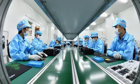 IMF: Bất chấp khó khăn chung, Việt Nam có sự tăng trưởng ngoạn mục