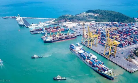 Xây dựng chính sách hỗ trợ DN vận tải biển chuyển đổi hoàn toàn sang năng lượng xanh