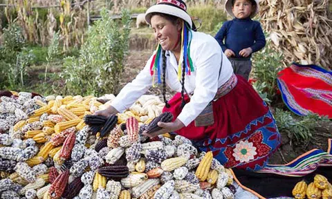 IFC và Thụy Sỹ mở rộng hợp tác, thúc đẩy đầu tư bền vững và tăng trưởng việc làm ở các thị trường mới nổi