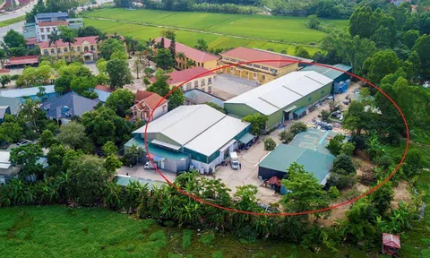 Vĩnh Phúc kỷ luật 3 cán bộ xã vì vi phạm lĩnh vực quản lý đất đai