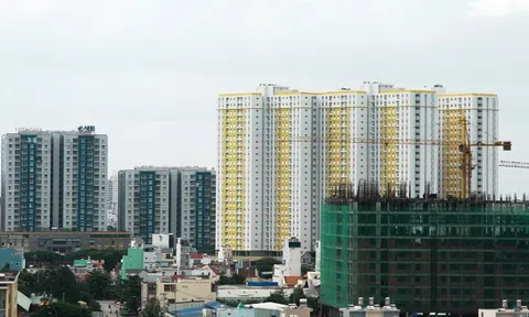 TP.HCM: Ứng dụng công nghệ thông tin để đẩy nhanh hoạt động cấp Giấy chứng nhận quyền sử dụng đất