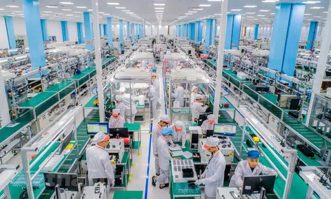 Doanh nghiệp châu Âu duy trì sự lạc quan về triển vọng phát triển của Việt Nam