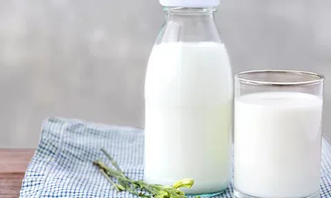 Bộ NN&PTNT: Sữa tươi, tổ yến cần giám sát vệ sinh khi sử dụng làm thực phẩm