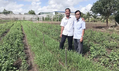 Chân dung cựu chiến binh làm kinh tế giỏi: Dám nghĩ, dám làm, quyết tâm thoát nghèo