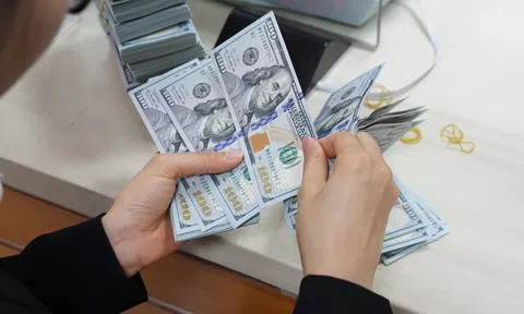 Lấy lại đà tăng, giá USD trong nước xác lập kỷ lục mới