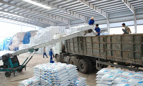 Xuất khẩu phân bón tăng cả về lượng và giá trị