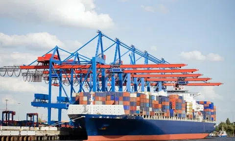 IMO đánh giá cao tiềm năng phát triển ngành Hàng hải Việt Nam