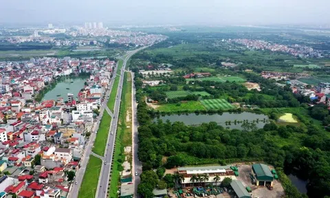 Bình Thuận: Công khai danh sách 44 dự án không đưa đất vào sử dụng, chậm tiến độ sử dụng đất