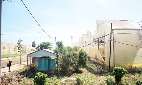 Gây thất thoát lãng phí, bắt Nguyên Phó giám đốc Sở Khoa học và Công nghệ Đồng Nai