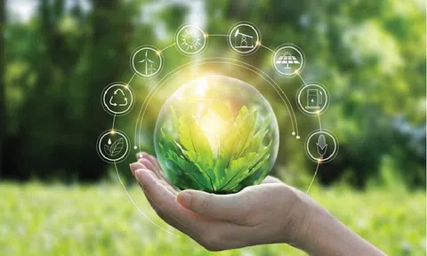 Xác định 70 chỉ tiêu thống kê tăng trưởng xanh