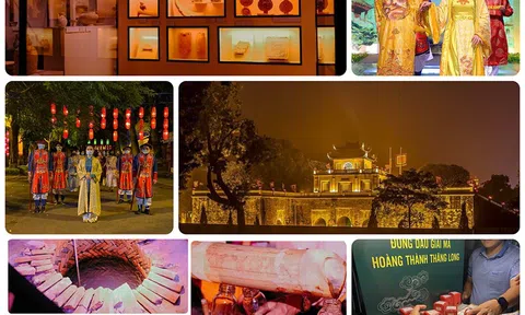 Top 10 tour du lịch độc đáo mang lại trải nghiệm thú vị tại Việt Nam