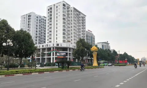 Dabaco của ông Nguyễn Như So gặp khó, bất động sản "cứu cánh"