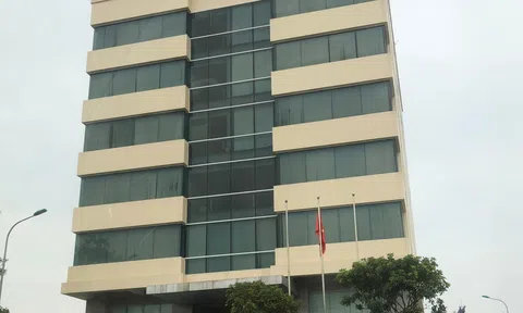 Công ty Bright Sun và một công chức hải quan Hải Phòng đồng lõa trốn thuế