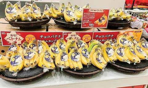 Đẩy mạnh liên kết vùng mở ra cơ hội tăng trưởng xuất khẩu nông sản