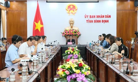 Tổng Công ty Becamex IDC phối hợp UBND tỉnh Bình Định tổ chức Hội nghị trực tuyến xúc tiến đầu tư Đài Loan